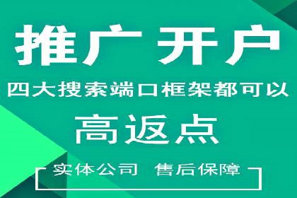 SEM推广公司案例分享：电商品牌崛起之路